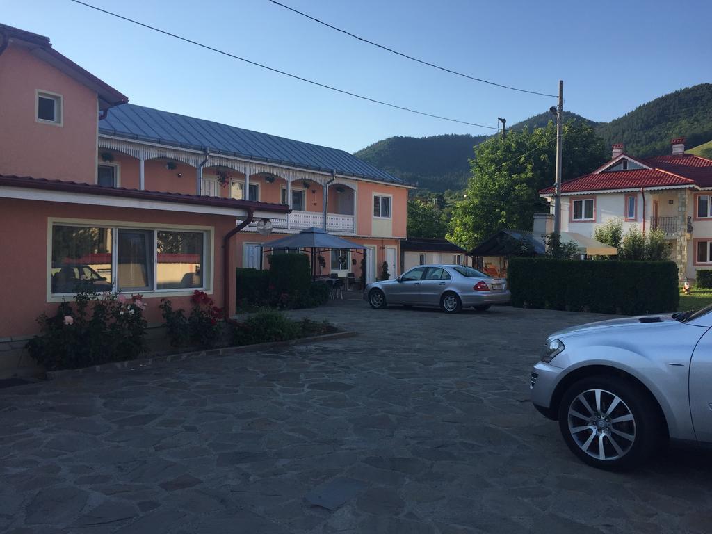 Pensiunea Flora Πιάτρα Νέαμτς Εξωτερικό φωτογραφία